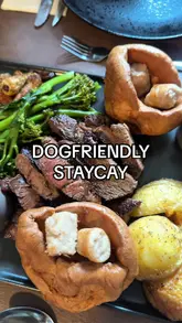 A vlog-style video documenting a dog-friendly weekend trip in Wales, featuring visits to a local cafe, a nature walk, and a pub for a Sunday roast.