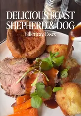 A short, handheld review of a Sunday roast at The Shepherd and Dog in Billericay, featuring close-ups of the food, the menu, and the pub interior.