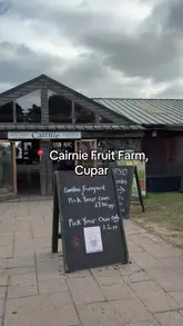 A vlog-style video documenting a family trip to Cairnie Fruit Farm in Cupar, Scotland. The video highlights the strawberry and cherry picking experience, various children's activities like the maze and slides, and a visit to the on-site cafe for lunch.