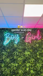 A personal vlog following a family's day, starting with a gender scan appointment and ending with a casual dinner at a pizza restaurant.