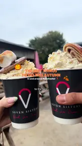 The video is a fast-paced listicle showcasing various autumn and Halloween-themed activities in and around Manchester, including pumpkin picking at Seven Sisters, multiple scare parks (Hallowscream, Scare City, Fear Factory), and a bottomless brunch at The Lawn Club. It uses a vlog-style format with quick cuts, text overlays, and music to highlight the atmosphere and experiences at each location.