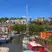 Love For Bristol