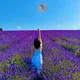 Lovie Han - United Kingdom Food Influencer