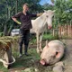 nat - United Kingdom Food Influencer